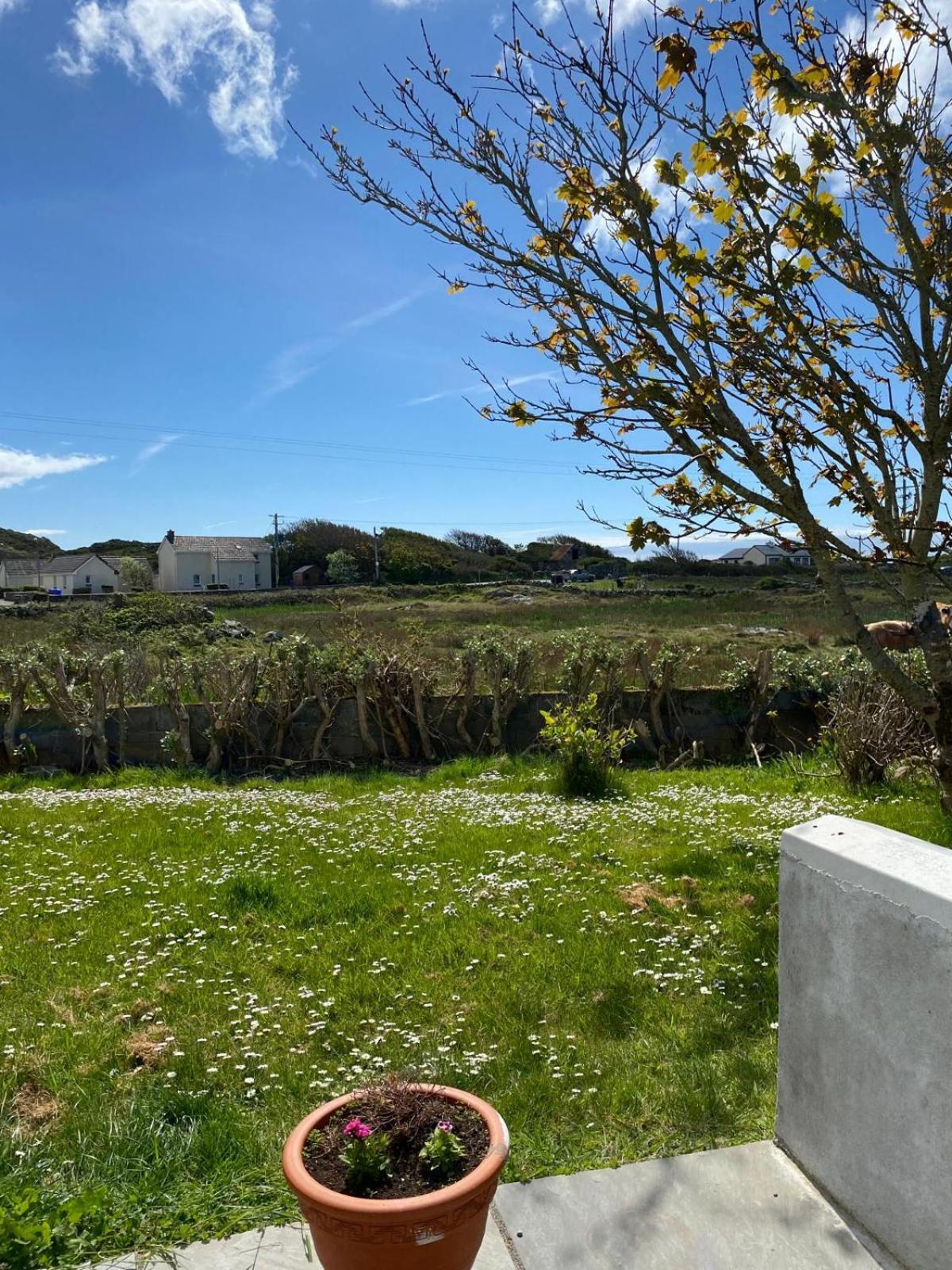 Doonhill Lodge Galway Ngoại thất bức ảnh